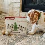 BLUE WOLF CALENDAR COMPANY 2023 Christmas Dog Advent Calendar for Dogs Grain Free Crunchy Peanut Butter Flavored Dog Treat Biscuits Dog Treat Advent Calendar