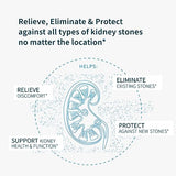 Renavive - Natural Kidney Cleanse | Eliminate & Protect Against Kidney Stones | Flush Impurities & Clear System | Support Kidney Health & Function | Chanca Piedra, Celery Seed & More | 60 Capsules
