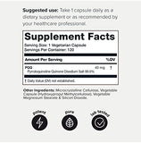 Toniiq 99%+ 40mg Supplement - Ultra High Purity PQQ 40mg Concentrated Formula - PQQ 40 mg 120 Capsules - Pyrroloquinoline Quinone Supplement - 1 Capsule Serving - Vegetarian Capsules
