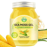 Sea Moss Gel, 18.5OZ Organic Irish Seamoss Gel Immune and Digestive Support Vitamin Mineral Antioxidant Supplements,Sweet Corn