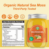 Sea Moss Gel Organic Raw Irish Seamoss Gel Vegan Superfood Immune and Digestive Support Vitamin Mineral, Turmeric 12oz