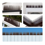 OFFO Bird Spikes Pigeon Outdoor Deterrent Spikes for Cat Keep Birds Raccoon Woodpecker Away Covers 20 Feet(610cm), Brown