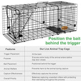 VASALAID Live Animal Trap Cage, 32" X 12" X 12.5" Catch and Release, Humane Live Trap Cage Indoor & Outdoor Foldable Live Trap for Raccoons,Groundhogs, Stray Cats,Squirrels, Rabbits, woodchucks