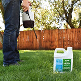 Advanced 16-4-8 Lawn Fertilizer - Liquid Lawn Food Spring & Summer Concentrated Spray - Any Grass Type- Fish and Seaweed Kelp- Balanced NPK - Simple Lawn Solutions (1 Quart)