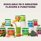 Amazing Grass Greens Blend Antioxidant: Super Greens Powder Smoothie Mix with Organic Spirulina, Beet Root Powder,Elderberry & Probiotics, Sweet Berry, 100 Servings (Packaging May Vary)