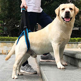 ROZKITCH Pet Dog Support Harness Rear Lifting Harness Veterinarian Approved for Old K9 Helps with Poor Stability, Joint Injuries Elderly and Arthritis ACL Rehabilitation Rehab L Blue