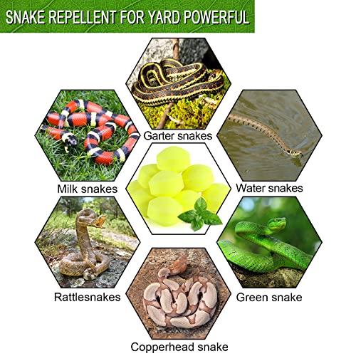 YUEQINGLONG Snake Away Repellent for Outdoors, Snake Be Gone for Yard Powerful Pet Safe Balls for Lawn Garden Camping Fishing Home to Repels Snakes and Other Pests (yellow-10)