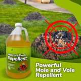 Natural Elements Mole and Vole Repellent | 100% Castor Oil | Pet Safe and Non Toxic | Food Grade | 128 oz (1 Gallon)