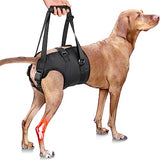 PZRLit Dog Lift Harness - Adjustable Sling Support for Large Dogs Hind Legs, Mobility Aid for Elderly Dogs - Hip & Back Leg Joint Injury Assistant Vest - Help Senior Disabled for Walking,Large,Black