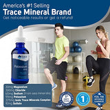 Trace Minerals | Liquid Ionic Potassium Dietary Supplement | 99 mg Potassium Powered by Concentrace Electrolytes | Supports Hydration, Energy, & Normal Brain Function | 2 fl oz (2 Pack), 66 Servings