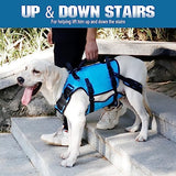 Dog Lift Harness - Petnanny Dog Sling Carrier for Large Elderly Dogs Support Harness for Rear Back Legs Helps, Dog Lift Sling Carrier for Medium Dog Hind Leg Recovery, Old, Disabled, Joint Injuries(M)