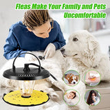 Flea Trap Indoor 2 Pcss,Flea Strap Flea Killer Trap Pad Bed Bug Trap with 10 Glue Discs Odorless Non-Toxic flea 4 Light Bulb for Inside Your Home Like Fleas,Flies,Mosquitoes,Gnats,Moths