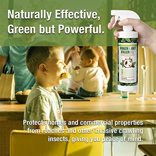 EcoVenger Roach & Ant Killer, Kills on Contact, Extended 4-Week Deterrence, Kills Ants & Other Indoor&Outdoor Crawling Insects, Natural & Non-Toxic, Pleasant Botanical Scent, Safe for Children & Pets