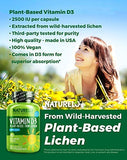 NATURELO Vitamin D - 2500 IU - Plant Based from Lichen - Natural D3 Supplement for Immune System, Bone Support, Joint Health - Vegan - Non-GMO - Gluten Free - 360 Mini Capsules