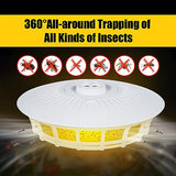 2 Pack Flea Traps for Inside Your Home with 10 Sticky Refill Discs & 4 LED Light Modes Flea Light Trap for Indoor, Harmless & Friendly to Pets & Kids Pest Trapper for Fleas, Flies, Mosquitoes, Moths