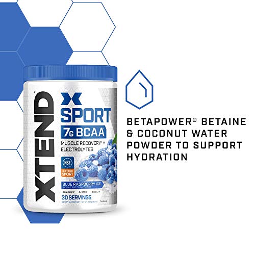 XTEND Sport BCAA Powder Blue Raspberry Ice - Electrolyte Powder for Recovery & Hydration with Amino Acids - 30 Servings