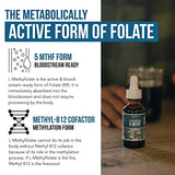 Organic Methyl Folate 1000 mcg + Methyl B12 Cofactor (300 Servings) – Metabolically Active 5-MTHF Form, Organic Berry Flavor, Liquid Sublingual Form – Mood, Cognition, Methylation, Pregnancy (1oz)
