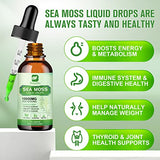 B BEWORTHS Sea Moss Liquid Drops - Organic Irish Sea Moss Gel with Burdock Root Supplement, Seamoss Gel for Immune Support, Joint & Thyroid Support, Detox Cleanse & Digestion Support - 2 Fl Oz, Vegan