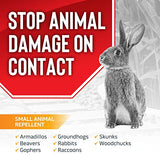 Animal Stopper Repellent - Safe & Effective, All Natural Food Grade Ingredients; Repels Groundhogs, Rabbits, Skunks, Raccoons and Other Garden Animals; Ready to Use, 32 oz. Spray Bottle