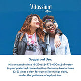 Vitassium DrinkMix - Ready-to-Mix Electrolyte Powder for POTS Syndrome Support (500mg Sodium & 100mg Potassium) - Vegan, Gluten & Allergen Free - Fruit Punch - 12 Single Serve Packets