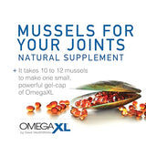 OmegaXL Joint Support Supplement - Natural Muscle Support, Green Lipped Mussel Oil, Soft Gel Pills, Drug-Free, 60 Count (2 Pack)