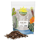 Olive Tree Potting Soil Mix (12 Quarts), for Planting, Repotting, and Growing Olive Bushes/Plants