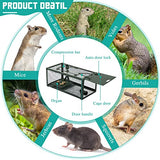 Qualirey 2 Pcs Humane Mouse Trap Live Rat Trap Mice Cage Work for Indoor and Outdoor Mouse Voles Hamsters Catch and Release (Green)