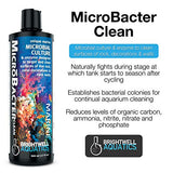 Brightwell Aquatics MicroBacter Clean - Microbial Culture & Enzyme Blend Designed to Target & Clean Surfaces of Aquatic Tanks, 1 L