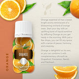 Orange Essential Oil 15ml - Brighten Your Space with an Uplifting Citrus Aroma - Cleanse, Refresh, and Promote Wellness - Premium Young Living Essential Oils