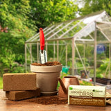 Coco Bliss Coco Coir - Compressed Coco Coir Bricks with Low EC and pH Balance - High Expansion Coco Fiber for Herbs, Flowers, Planting - OMRI Listed Renewable Coconut Soil (650 Grams, 6 Bricks)