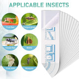 Cleanuper 60 Pcs Window Fly Traps Ready to Use Indoors. Insect, Bugs, Fly & Fruit Fly Glue Adhesive Sticky Paper - Waterproof Easy Application Ready Disposable Non-Toxic