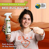 EcoRaider Bed Bug Killer Spray 1 Gallon Jug, Green + Non-Toxic, 100% Kill + Extended Protection