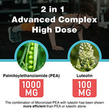 Liposomal Palmitoylethanolamide 1000 mg + Luteolin 100 mg, Micronized Pea 99% Highly Purified - Enhanced Absorption and Bioavailability, 60 Softgels(60-Day Supply)