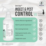 Bella's Barrier Indoor Bug Spray for Home - Ant Spray Indoor & Spider Killer Indoor - Ant Killer & Spider Spray Indoor, Ant Spray Safe for Pets & Kids (32 oz)