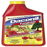 Daconil® Fungicide Concentrate for Insects 16 oz. - 100523634