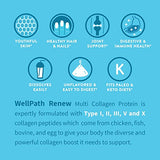 WellPath Renew Collagen for Women – Multi Collagen Peptides Protein Powder | Hydrolyzed Grassfed Bovine, Marine, & Chicken Collagen Peptides Supplement | Type I, II, III, V, and X, 11 oz