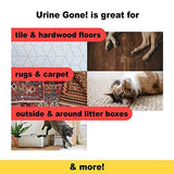 Urine Gone Stain & Odor Eliminator: Professional Strength Fast-Acting Enzyme-Based Solution, Instantly Penetrates and Neutralizes into the Fibers of a Carpet, Stops Pets from Remarking…