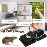 Qualirey 18 Pcs Mouse Traps Plastic Mice Trap House Indoor Rat Trap Quick Effective Safe Mouse Traps for Warehouse Garden Kitchen 3.86 x 1.81 x 2.17 Inch (Black,Red)