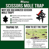 Garsum Mole Trap,EasySet Eliminator Black Scissor Traps, Mole Traps That Kill Instantly for Lawns,Reusable Quick and Clean Kill Vole Trap,1 Set