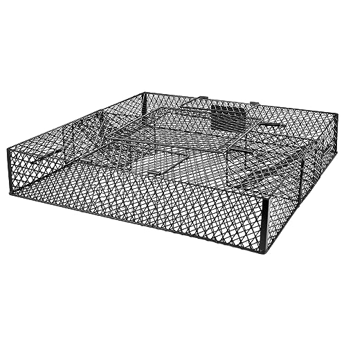 AMVOG Squirrel Trap (No Bottom Tray) - Ideal for Chipmunks and Squirrels, Metal Construction, Holds up to 25 Squirrels, 1 Trap