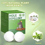 24pack Mole Repellent, Mouse Repellent, Groundhog Repellent, Gopher Repellent, Vole Repellent for Lawn Garden Yard Outdoor, Armadillo Repellent, Mole Deterrent