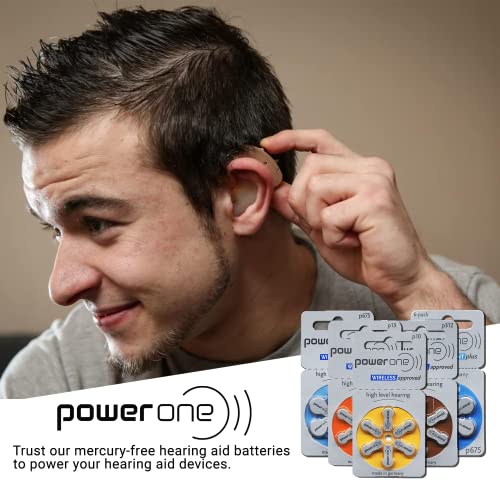 Power One Size 312 MERCURY FREE Hearing Aid Batteries (1Pack (60 batteries))