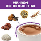 Om Mushroom Superfood Hot Chocolate Blend Mushroom Powder, Single Serve, 10 Count, Dutch Cocoa, 2g of Sugar, 25 Calories, Lion's Mane, Reishi, Chaga, Turkey Tail, Focus and Stress Support