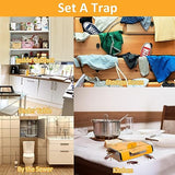 24 Pack Roach Traps Indoor, Roach Killer Indoor Infestation Glue Traps for Roaches, Cockroach Killer Indoor Home for Bugs