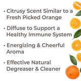 Plant Therapy Sweet Orange Organic Essential Oil 100% Pure, USDA Certified Organic, Undiluted, Natural Aromatherapy, Therapeutic Grade 30 mL (1 oz)