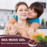 18.5OZ Sea Moss Gel, Organic Raw Wildcrafted Irish Seamoss Gel Immune and Digestive Support Vitamin Mineral Antioxidant Supplements, Elderberry,Mixed Berry Flavor