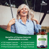 Zazzee High Absorption Artemisinin, 100 mg per Capsule, 120 Vegan Capsules, with 5 mg BioPerine for Maximum Absorption, Sweet Wormwood Extract, 4 Month Supply, All-Natural and Non-GMO