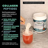 Gorilla Mind Collagen Peptides Powder - Joint & Bone Health/Great for Hair, Skin & Nails/Sleep Support/Types I, II, III/Mix in Water, Juice or a Smoothie - 426g (Mixed Berry)