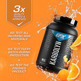 EFX Sports Karbolyn Fuel | Fast-Absorbing Carbohydrate Powder | Carb Load, Sustained Energy, Quick Recovery | Stimulant Free | 37 Servings (Orange)