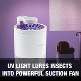 Sun Joe SJ-BZ15W-WHT UV Indoor Insect Fruit Fly Trap for Small Flying Insects, Non-Toxic UV Light, Non-Zapper, Bug Light w/10-Sticky Glue Traps Included, White